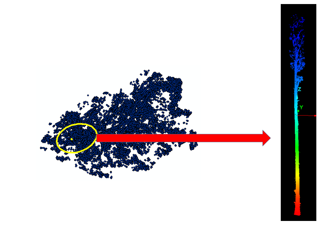 Stem segmentation from TLS: polynomial density mask and extracted stem points